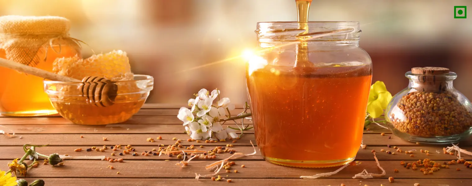 Boost Your Immunity Naturally with Organic Nation’s Wild Forest Honey